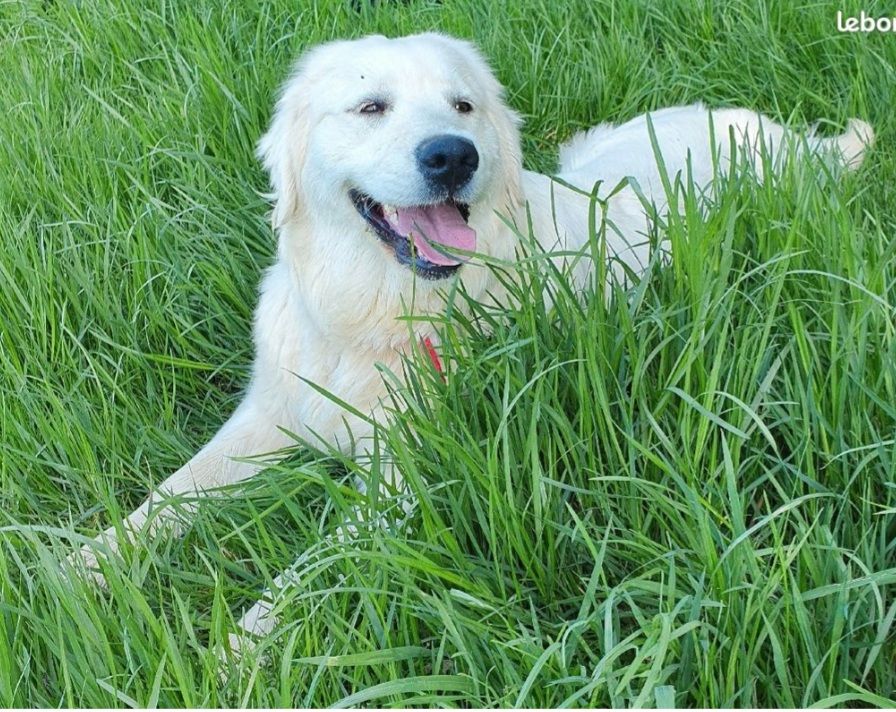 Prométhée domaine du hameau du fayel