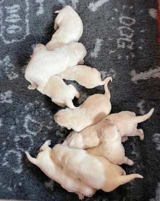 S Ulysse des Skÿles des Hauts d?Eole